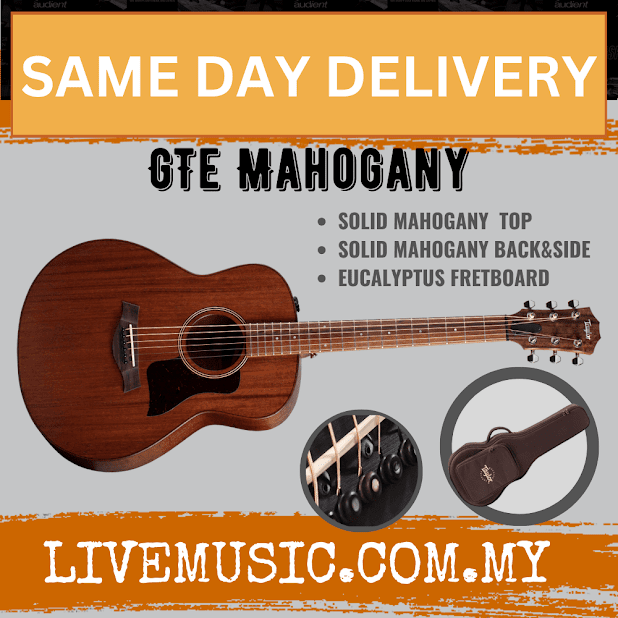 Taylor GTe Mahogany Grand Theater Acoustic Guitar w/Aerocase, Natural