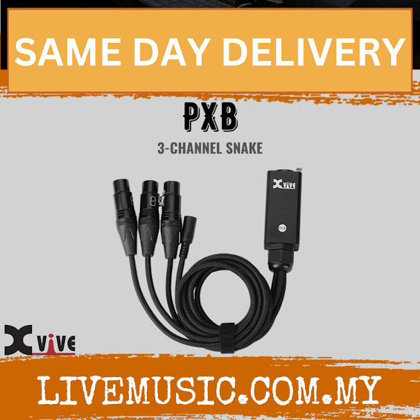 Xvive Audio PXB 3-channel snake cable with black connectors and bundled cord