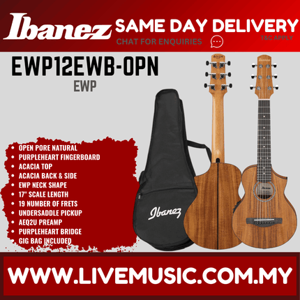 Ibanez EWP12EWB-OPN Acoustic Guitar W/bag, Open Pore Natural ( EWP12EWB OPN / EWP12EWBOPN )
