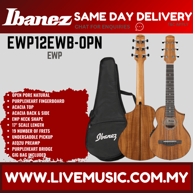 Ibanez EWP12EWB-OPN Acoustic Guitar W/bag, Open Pore Natural ( EWP12EWB OPN / EWP12EWBOPN )