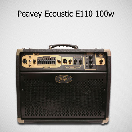 Peavey Ecoustic E110 - 100 watt 1x10 inch Acoustic Combo Amplifier (E-110)