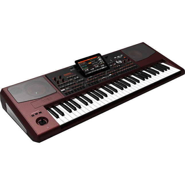 Korg Pa1000 61-keys Professional Arranger with Adapter (Pa-1000)