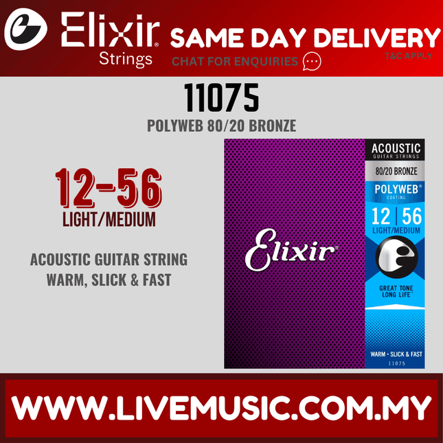 Elixir 11075 Polyweb 80/20 Bronze Acoustic Guitar Strings (12-56)