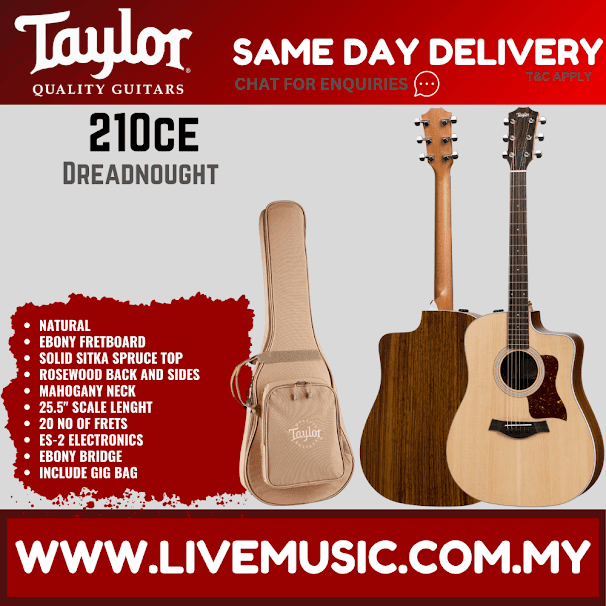 Natural dreadnought acoustic guitar with Taylor gig bag, Taylor 210ce-style design