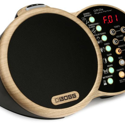 Boss DR-01S Rhythm Partner (DR01S DR 01S)