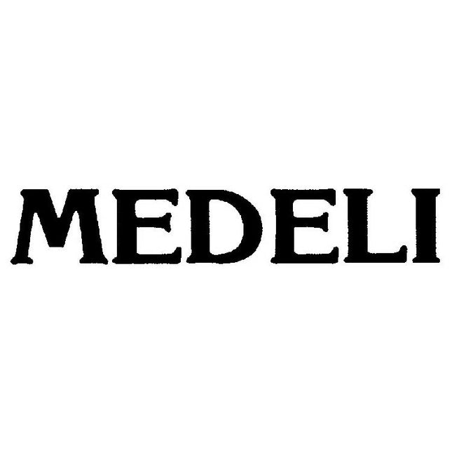 Medeli A300 Aspire Series 61 Keys Portable Keyboard ( A-300 / A 300 )