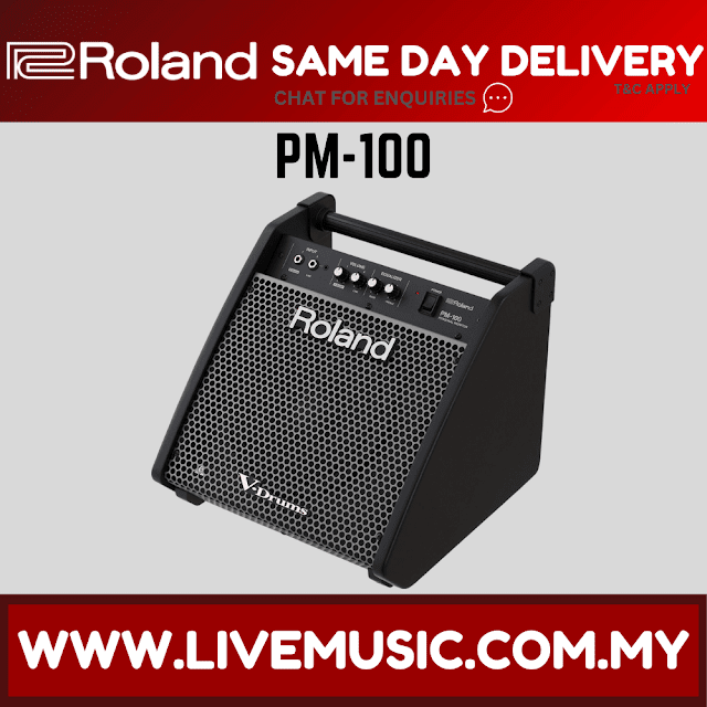 Roland PM-100 - 80 Watt, 1x10" Personal Drum Monitor (PM100/PM)