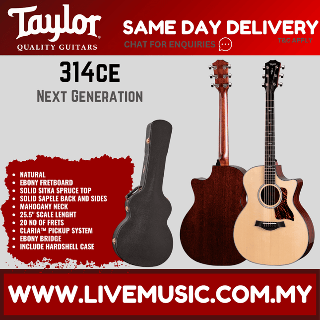 Acoustic-electric guitar with natural top and dark sapele back, beside hard case