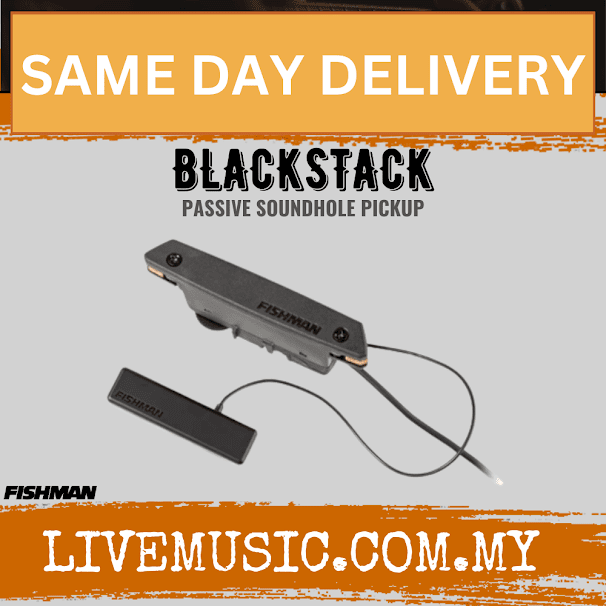 Fishman BLACKSTACK Passive Soundhole Acoustic Guitar Pickup (BLACKSTACK)
