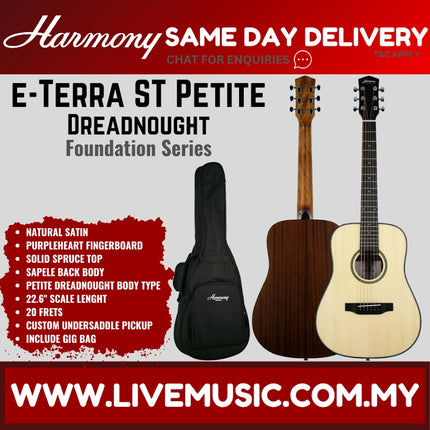 Harmony Foundation Series e-Terra ST Petite Dreadnought Acoustic Guitar w/Bag, Natural Satin