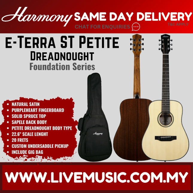 Harmony Foundation Series e-Terra ST Petite Dreadnought Acoustic Guitar w/Bag, Natural Satin