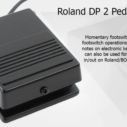 Roland DP-2 Keyboard/Piano Damper Pedal (DP2)