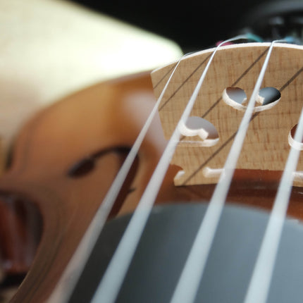 Kadenza V-001B 4/4 Spruce Wood Violin w/HardBag, FB Ebony - ( V001B V 001B )