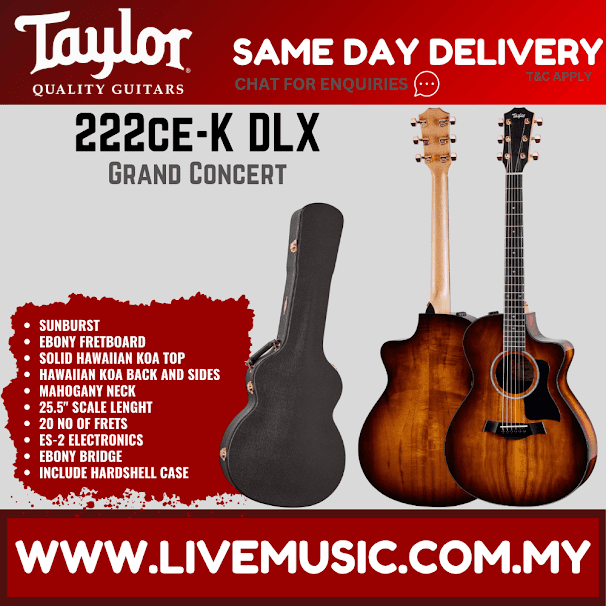 Taylor 222ce-K DLX Grand Concert Acoustic Guitar w/Case