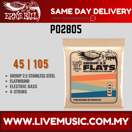 Ernie Ball P02805 Flatwound Group 2.5 Electric Bass Strings, 45-105 Gauge