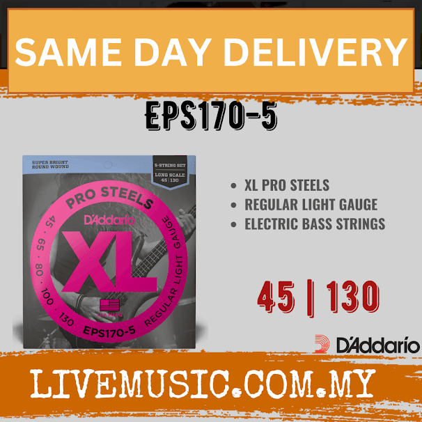 D'Addario EPS170-5 - ProSteels 5-String Bass Strings, Light, Long Scale (45-130)(DAddario/EPS170)