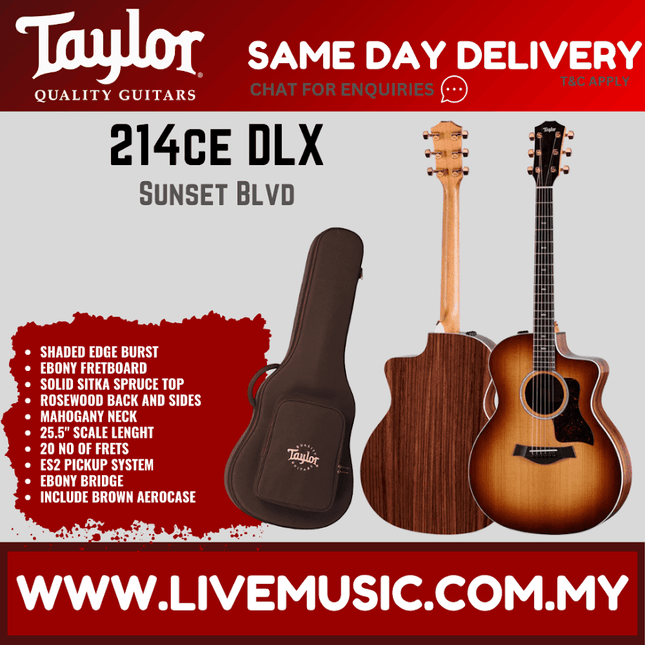 Shaded edge burst acoustic guitar with padded carry case
