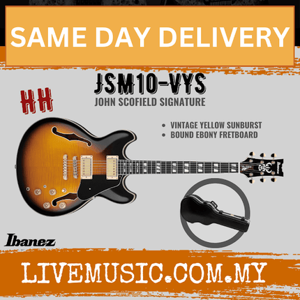 Ibanez JSM10-VYS John Scofield Signature Electric Guitar w/Case, Vintage Yellow Sunburst ( JSM10 VYS / JSM10VYS )