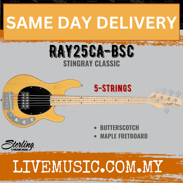 Sterling Ray25CA StingRay Classic 5-String Bass Guitar Maple Fretboard - Butterscotch (Ray-25CA/Ray 25CA)