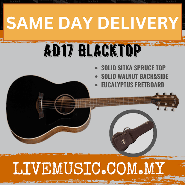 Blacktop acoustic guitar with matching AeroCase and AD17 Blacktop label