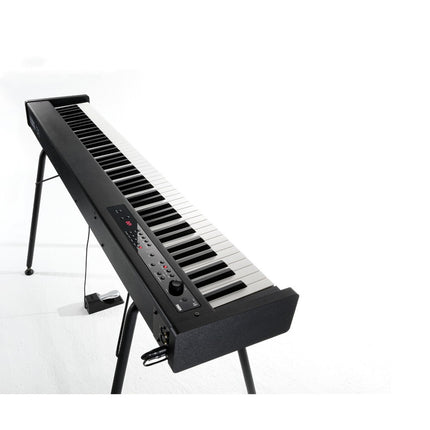 Korg D1 88-Keys Digital Piano With Note Stand and Adapter-Black (D-1)