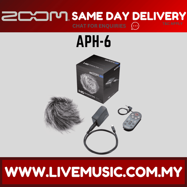 H6 accessory pack with fuzzy mic windscreen, remote, cable, and power adapter