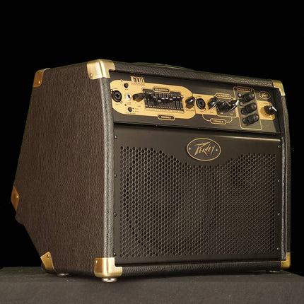 Peavey Ecoustic E110 - 100 watt 1x10 inch Acoustic Combo Amplifier (E-110)