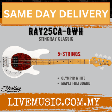 Sterling Ray25CA StingRay Classic 5-String Bass Guitar Maple Fretboard - Olympic White (Ray-25CA/Ray 25CA)