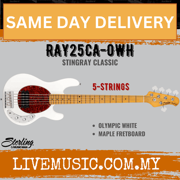 Sterling Ray25CA StingRay Classic 5-String Bass Guitar Maple Fretboard - Olympic White (Ray-25CA/Ray 25CA)