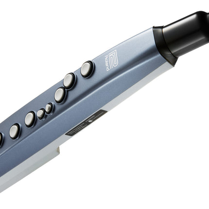 Roland Aerophone AE-01 Mini Digital Wind Instrument ( AE01 / AE 01)