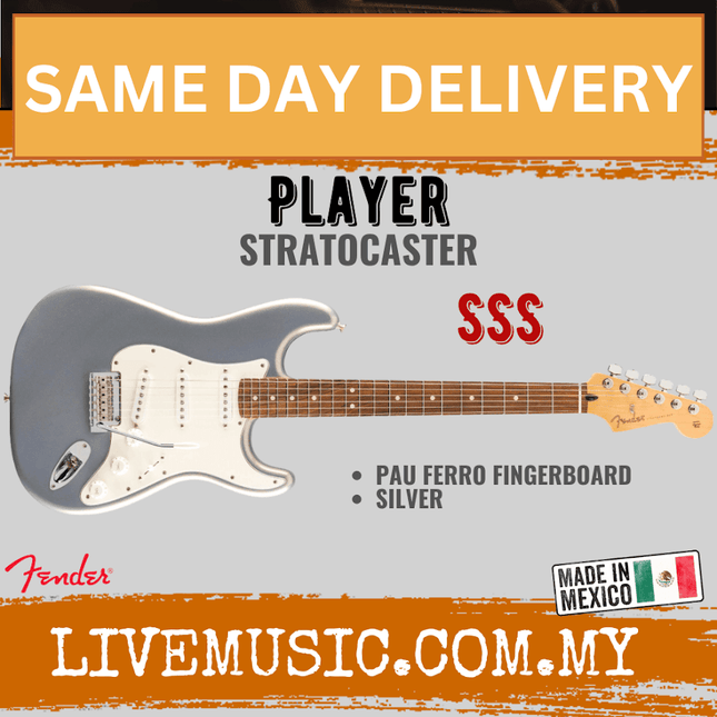 Fender Player Stratocaster Electric Guitar, Pau Ferro Fretboard -  Silver