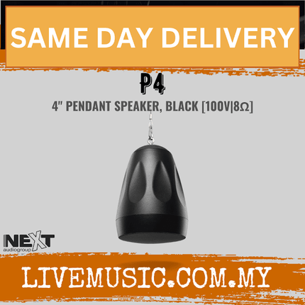 Next Audio P4 4? Pendant Speaker, Black / White ( P-4 / P 4 )