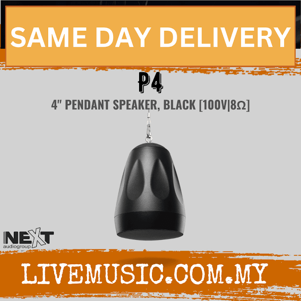 Next Audio P4 4? Pendant Speaker, Black / White ( P-4 / P 4 )