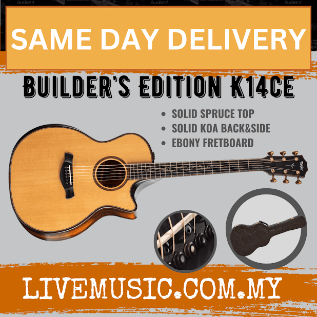 Taylor Builder's Edition K14ce V-Class Grand Auditorium Acoustic Guitar w/Case