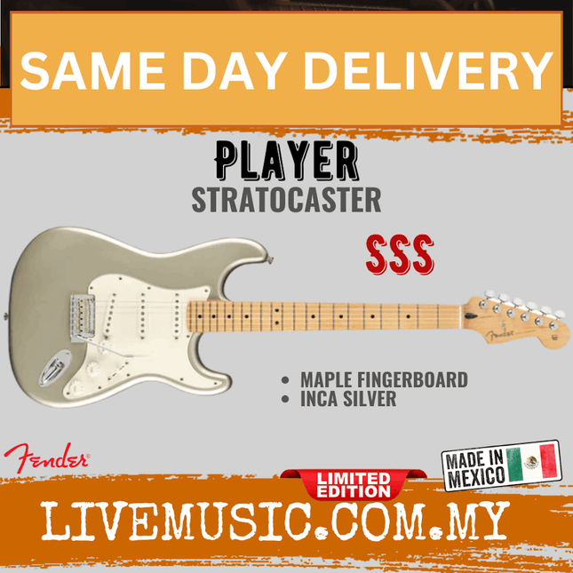 Fender Limited Edition Player Stratocaster Electric Guitar, Maple FB, Inca Silver