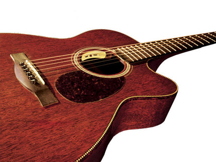 LR Baggs Anthem SL Nylon String Guitar Pickup