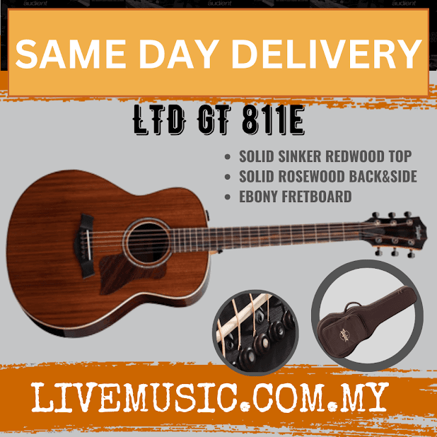 Taylor LTD GT 811e RW/Redwood Grand Theater Acoustic Guitar w/Case, Natural