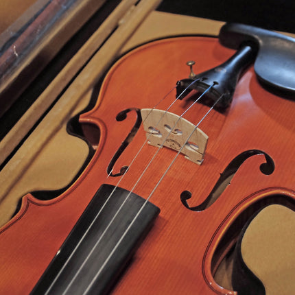Kadenza V-002D 4/4 Solid Top Spruce Wood Violin w/HardBag, FB Ebony - ( V002D V 002D )