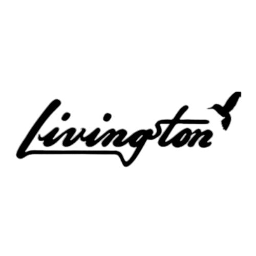 Livingston script logo on a plain white background