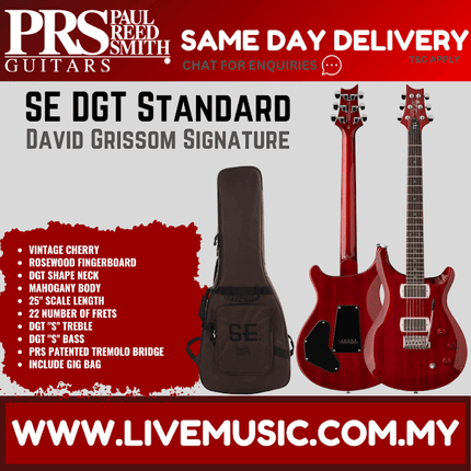PRS SE DGT Standard David Grissom Signature Electric Guitar w/GigBag, Rosewood FB, Vintage Cherry