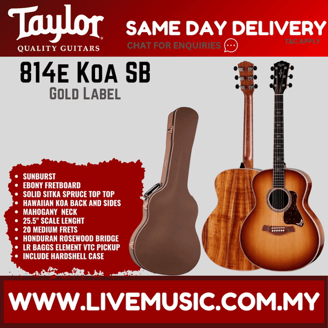 Sunburst acoustic-electric guitar with Taylor-style headstock and hard case