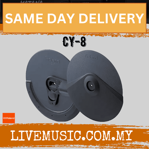 Roland CY-8 Dual-Trigger Cymbal Pad (CY8)
