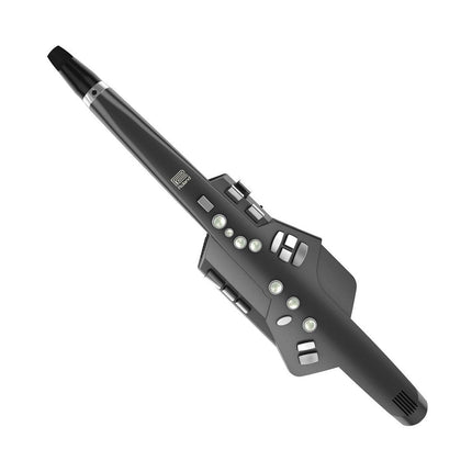 Roland AE-10G Aerophone Digital Wind Instrument Graphite ( AE-10 / AE10 / AE10G )