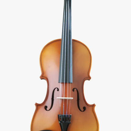 Kadenza V-002A 4/4 Solid Top Spruce Wood Violin w/HardBag, FB Ebony - ( V002A V 002A )