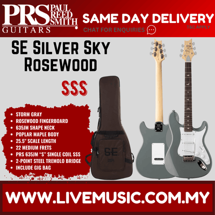 Storm gray electric guitar with rosewood fingerboard, shown with black padded gig bag