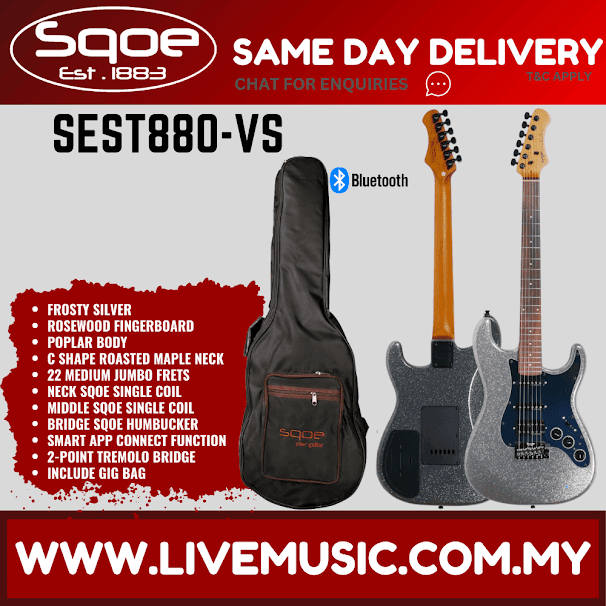 SQOE SEST880 Stratocaster HSS Electric Guitar w/Gig Bag, Rosewood FB - Frosty Silver ( SEST-880 / SEST 880 )