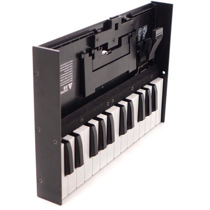 Roland K-25m - 25 Key Boutique Series Keyboard Unit (K25M/K 25m)