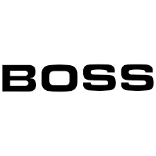 Boss DS-1W Waza Craft Distortion Pedal ( DS1W / DS 1W )