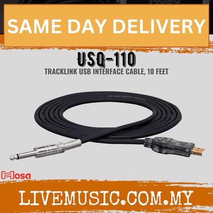 Hosa USQ-110 USB Guitar Cable, 10ft (USQ110/USQ 110)