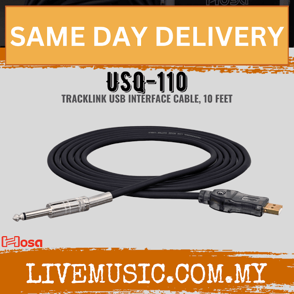 Hosa USQ-110 USB Guitar Cable, 10ft (USQ110/USQ 110)